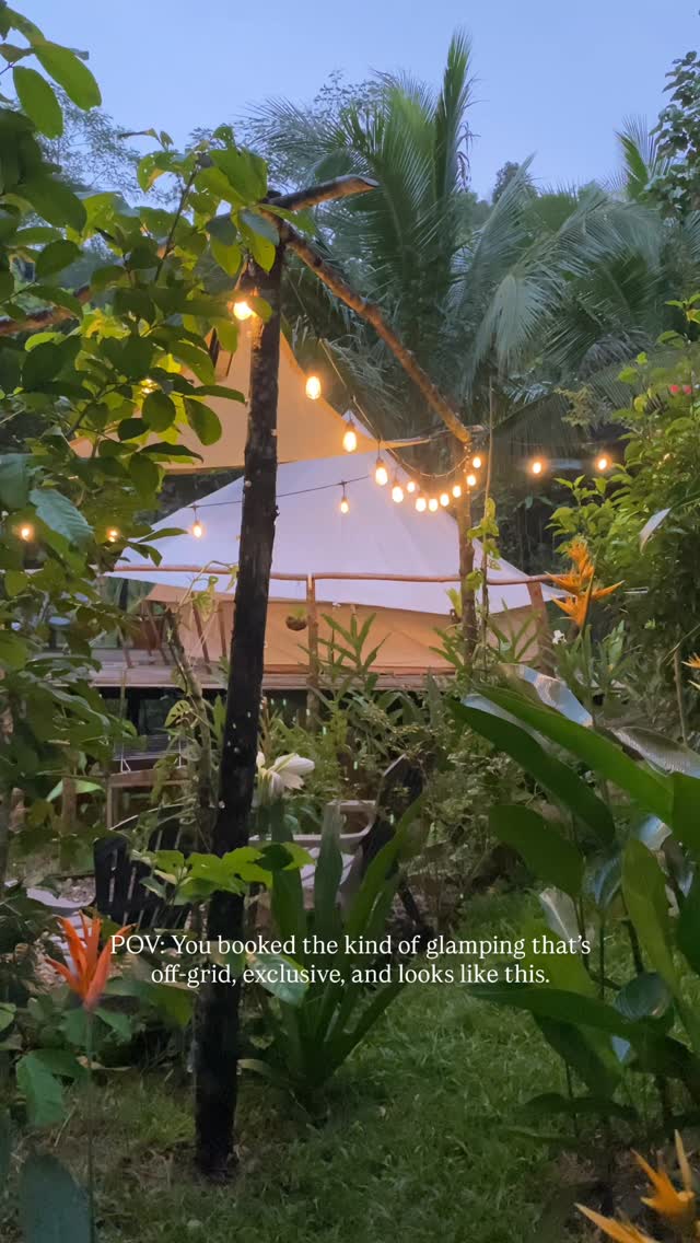 Dusk view of bell tent with fairy lights through tropical jungle