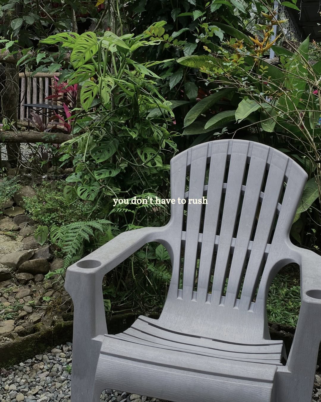 Relaxing garden chair amid lush tropical greenery
